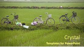  Presentation with rice field - 