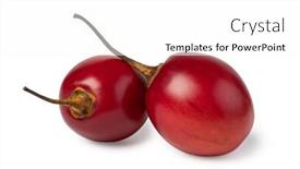  Presentation with isolated paw prints over white - Presentation theme consisting of tamarillo-isolated-on-white-background background and a white colored foreground