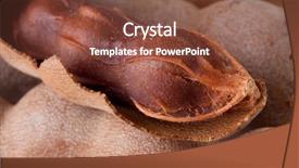  Presentation with tamarind fruit - Slides with mining - naval mine in the sea background and a ocean colored foreground.