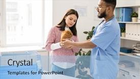  Presentation with veterinary pig - Beautiful theme featuring tame work - young woman brought brown guinea backdrop and a light blue colored foreground