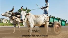  Presentation with yoke - Cool new theme with tamil-nadu-india-september-12 backdrop and a coral colored foreground