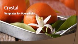  Presentation with tobacco leaves closeup - PPT theme featuring tangelos on a metal tray background and a crimson colored foreground