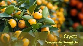  Presentation with lunar new year - Audience pleasing presentation theme consisting of tangerine for lunar new year backdrop and a tawny brown colored foreground