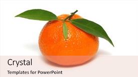  Presentation with green leaf - Audience pleasing theme consisting of tangerine or clementine with green backdrop and a  colored foreground