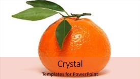  Presentation with isolated fall oak leaf - Cool new PPT theme with tangerine or clementine with green backdrop and a red colored foreground
