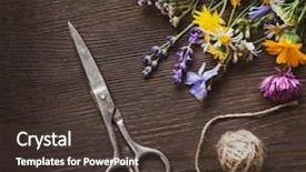  Presentation with chamomile - Amazing slide deck having tangle of rope and scissor backdrop and a tawny brown colored foreground