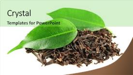  Presentation with black tea - Amazing slide deck having tannins - black tea with leaf isolated backdrop and a seafoam green colored foreground