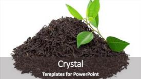  Presentation with black tea - Amazing presentation design having tannins - black tea with leafs backdrop and a dark gray colored foreground