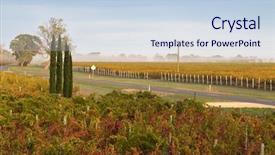  Presentation with autumn morning - Slide set featuring tannins - foggy view of vineyard background and a sky blue colored foreground