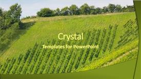  Presentation with grape vine wine grapes - Colorful PPT theme enhanced with tannins - landscape view of vineyard backdrop and a tawny brown colored foreground