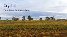  Presentation with autumn morning - Presentation theme with tannins - view of vineyard background and a sky blue colored foreground