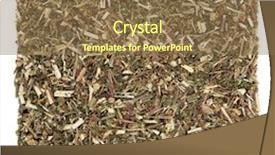  Presentation with alternative medicine - Cool new PPT theme with tansy leaf herb used in natural alternative herbal medicine over white background tanacetum vulgare backdrop and a tawny brown colored foreground