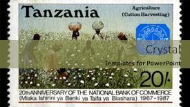  Presentation with anniversary - PPT layouts enhanced with tanzania-circa-1987-a-stamp background and a tawny brown colored foreground