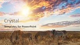  Presentation with savannah - Audience pleasing presentation design consisting of tanzania-great-dry-gras-savannah backdrop and a lemonade colored foreground