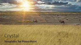 Presentation with savannah - Presentation design enhanced with tanzania-great-dry-gras-savannah background and a gold colored foreground