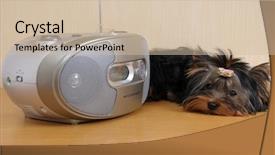  Presentation with yorkshire moor - Audience pleasing theme consisting of tape disk - puppy yorkshire terrier backdrop and a soft green colored foreground