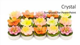  Presentation with white candles - Cool new presentation with tapered - candles isolated on a white backdrop and a white colored foreground