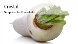  Presentation with tv show studio camera - Slide set with tapered - studio shot of white raddish background and a  colored foreground