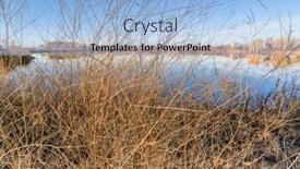  Presentation with tapestry - Colorful slide set enhanced with tapestry-of-dry-weeds backdrop and a light blue colored foreground