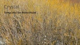  Presentation with tapestry - Presentation theme having tapestry-of-shrubs-and-bushes background and a yellow colored foreground