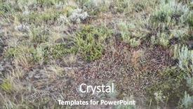  Presentation with tapestry - Theme featuring tapistry - late summer tapestry of wildflowers background and a gray colored foreground