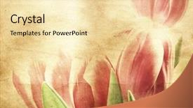  Presentation with tulips - Slides with tapistry - vintage tulips background and a lemonade colored foreground