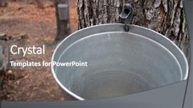  Presentation with sugaring - Slides consisting of tapped maple tree with bucket background and a gray colored foreground