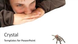  Presentation with spider - PPT theme featuring tarantula - girl watching a crawling spider background and a white colored foreground