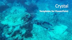  Presentation with underwater wild nature sea life - Beautiful PPT theme featuring target free - underwater hunter lies backdrop and a teal colored foreground