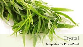  Presentation with mortar - Theme consisting of tarragon-and-mortar-isolated background and a blonde colored foreground