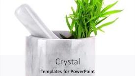  Presentation with white - Amazing presentation design having tarragon-isolated-on-white backdrop and a light gray colored foreground