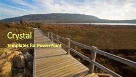  Presentation with pine trees - Slides enhanced with tasmanian s rarest ancient tree background and a tawny brown colored foreground