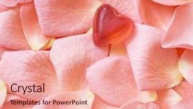  Presentation with rubber - Cool new presentation design with sense taste - soft rubber heart on rose's backdrop and a coral colored foreground