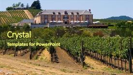  Presentation with napa - Colorful PPT theme enhanced with taste buds - french style winery in napa backdrop and a  colored foreground