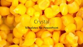  Presentation with corn - Colorful presentation enhanced with tasty-corn-close-up backdrop and a light gray colored foreground