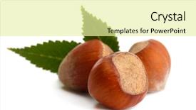  Presentation with hazelnuts - Audience pleasing theme consisting of tasty hazelnuts with leaves isolated on white backdrop and a blonde colored foreground