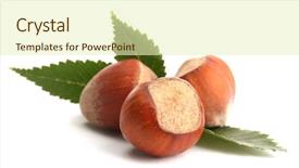  Presentation with hazelnuts - Presentation theme featuring tasty hazelnuts with leaves isolated on white background and a soft green colored foreground