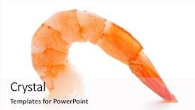  Presentation with prawn - Presentation design enhanced with tasty prawn on white background background and a sky blue colored foreground