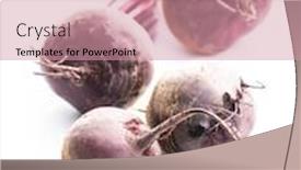  Presentation with beetroot - Beautiful slides featuring tasty raw beetroot healthy vegetable isolated on white background backdrop and a coral colored foreground