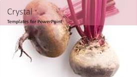  Presentation with beetroot - Slides having tasty raw beetroot healthy vegetable isolated on white background background and a coral colored foreground