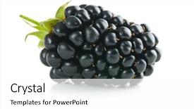  Presentation with blackberry - PPT theme with tasty ripe blackberry isolated background and a white colored foreground