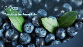  Presentation with blueberries - 