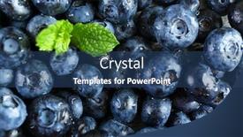  Presentation with blueberries - PPT theme having tasty ripe blueberries with green leaves close up background and a ocean colored foreground