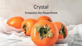  Presentation with harvest is ripe - PPT theme consisting of tasty ripe persimmons on gauze background and a  colored foreground