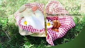  Presentation with snack - Cool new PPT theme with tasty snack in basket on grassy background for spending nice weekend in a park backdrop and a soft green colored foreground