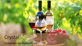  Presentation with wine barrel - PPT layouts featuring tasty wine on wooden barrel background and a coral colored foreground