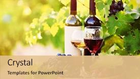  Presentation with wine barrel - PPT layouts featuring tasty wine on wooden barrel background and a lemonade colored foreground