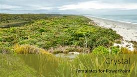 Presentation with marine engine company - PPT theme enhanced with tauparikaka-marine-reserve background and a gold colored foreground