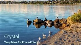  Presentation with tourists - Audience pleasing PPT theme consisting of taupo-is-the-largest-lake backdrop and a ocean colored foreground