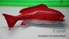  Presentation with fish people - Theme having taxidermy-stuffed-fish-mounted background and a light gray colored foreground